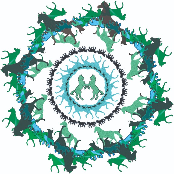 yogiromy